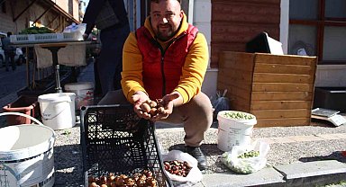 Aydın dağlarından gelen lezzet beşbıyık meyvesi tezgahlarda yerini aldı