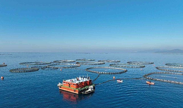 Aydın'da su ürünleri destekleme başvuruları başladı