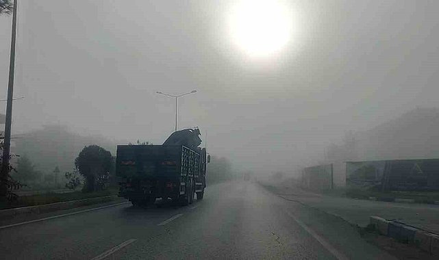 Aydın'da yoğun sis sürücülere zor anlar yaşattı