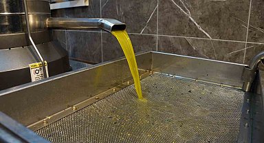 Aydın'da zeytinin yağa dönüşümü başladı