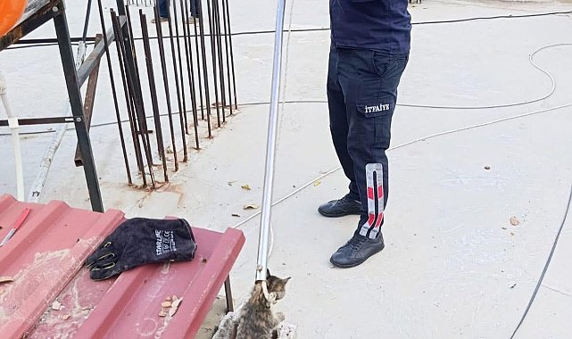Bacaya sıkışan kediyi itfaiye kurtardı