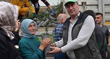 Bafra'da fidan dağıtımı