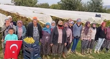 Bağlarda siren sesi yankılandı