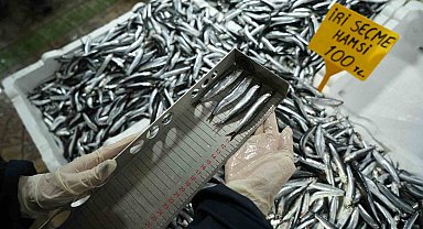 Balık tezgahlarına yakın markaj: 109 kişi ve işletmeye 2,5 milyon TL ceza