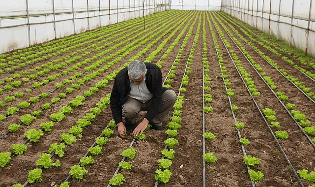 Balıkesir'de "Tarım Modeli" ile çiftçiye destek