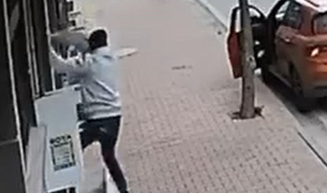 Balkona tırmanıp cins kediyi çaldı