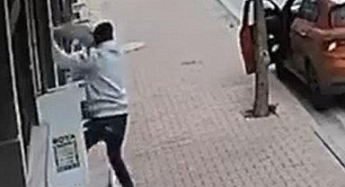 Balkona tırmanıp cins kediyi çaldı