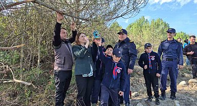 Bartın'da 3 bin 500 adet fidan dikildi