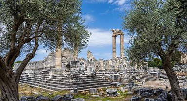Başkan Gençay: "Zeytin ağacı Didim'in hafızasıdır"