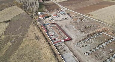 Başkan Metin'den sokak hayvanları için örnek hizmet