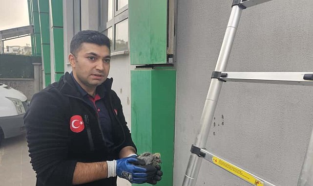 Batman'da kolonlara sıkışan kuş kurtarıldı
