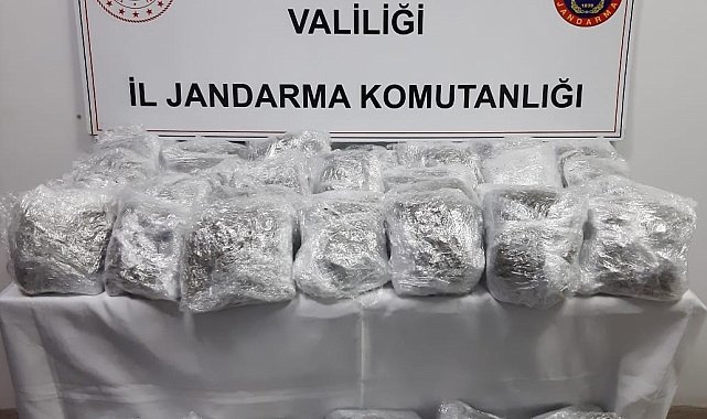 Bavulların içerisinden yaklaşık 17 kilogram uyuşturucu çıktı