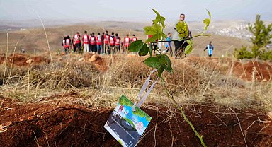 Bayburt'ta 97 bin 620 fidan toprakla buluşturuldu