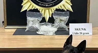 Bayburt'ta bavula yerleştirilmiş 1 kilo 20 gram skunk ele geçirildi
