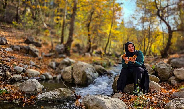 Belemedik, sonbaharda renk cümbüşüne büründü