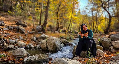 Belemedik, sonbaharda renk cümbüşüne büründü