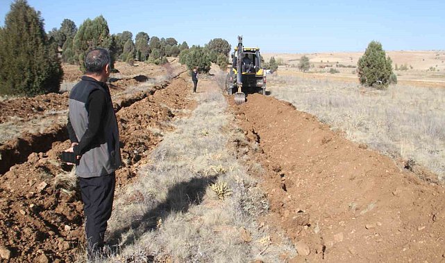 Beyşehir'de 11 bin orman fidanı daha toprakla buluşturulacak