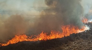Beyşehir'de sazlıklar alev alev yandı
