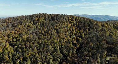 Biga'da sonbahar renklerine bürünen ormanlar havadan görüntülendi