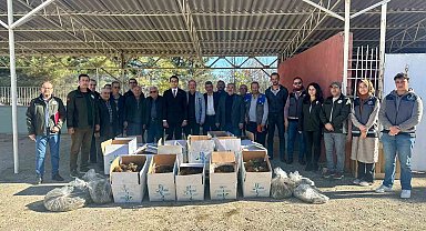 Bilecik'te 42 bin adet çilek fidesi dağıtıldı