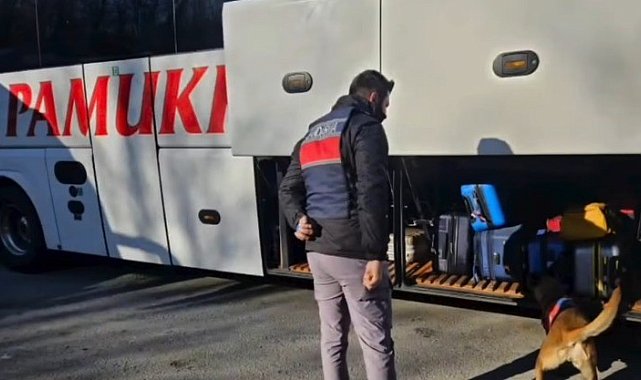 Bilecik'te aranan şahıslar için eş zamanlı operasyon