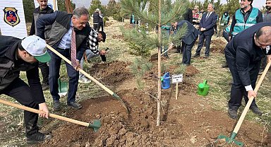 Bingöl'de 25 bin fidan toprakla buluştu