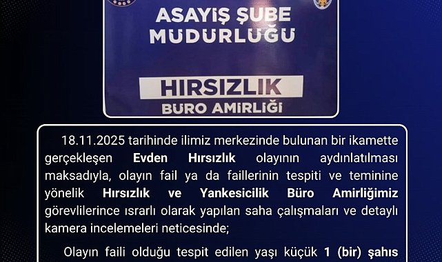 Bingöl'de hırsızlık olayının faili tutuklandı