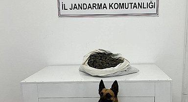 Bingöl'de zehir tacirlerine geçit yok