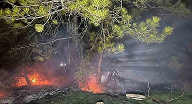 Bolu'da ormanlık alanda yangın