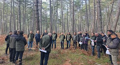Bolu'da sağlıklı ormanlar için ekipler sahaya indi