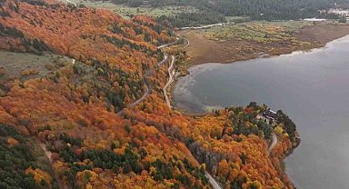 Bolu'nun doğa harikası Abant'ta ziyaretçiler akın etti