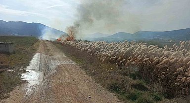 Bucak'ta sazlık alanda yangın
