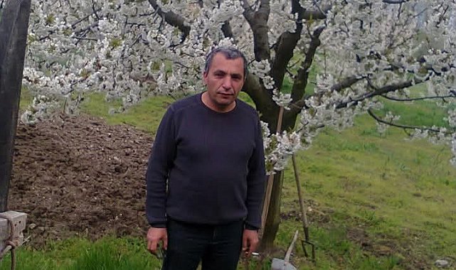 Budadığı ağaçtan düşen adam hayatını kaybetti