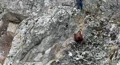 Burdur'da mahsur kalan keçiler ekipler tarafından kurtarıldı