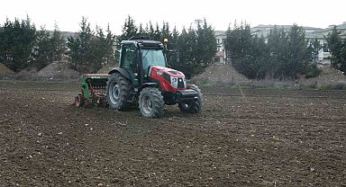 Büyükçekmece'de atıl araziler buğdayla buluştu