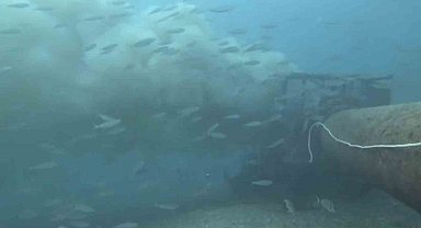 Çanakkale'de boğaza dökülen atık su ile karşılaşan dalgıç, o anları su altı kamerasıyla kaydetti