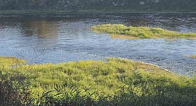 Canbolu Deresi'nde acı oyun: 10 yaşındaki Hızır Ali hayatını kaybetti