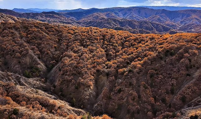 Çankırı'da mest eden sonbahar manzaraları