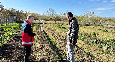 Çarşamba Ovası'nın yeni gözdesi: Salep