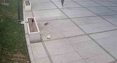 Çekirdek keyfi pahalıya patladı