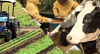 Çiftçiye 1,5 milyar TL destek hesaplarda