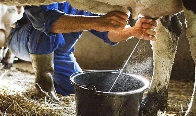 Çiğ inek sütünün sınıflandırılmasına ilişkin tebliğde değişiklik