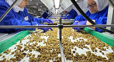 Çin'de organik sektörü 15 milyar dolarlık hacme ulaştı