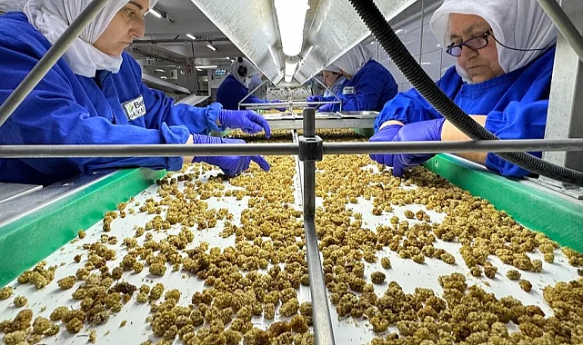 Çin'de organik sektörü 15 milyar dolarlık hacme ulaştı