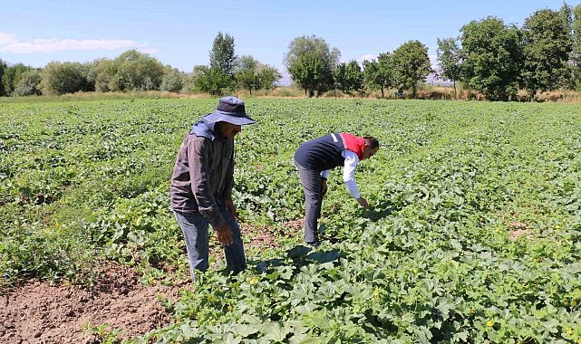 ÇKS başvuruları 31 Aralık'ta sona eriyor