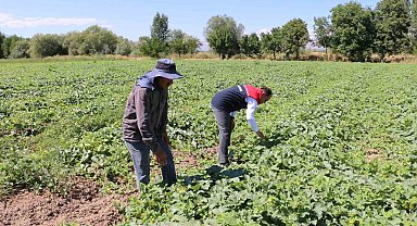 ÇKS başvuruları 31 Aralık'ta sona eriyor