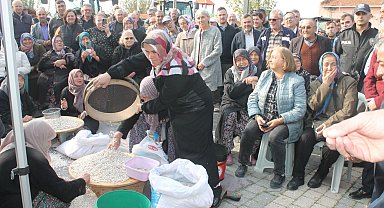 Coğrafi işaretli Kazak fasulyesinde ilk hasat festivali yapıldı