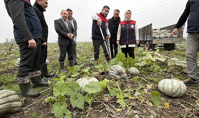 Coğrafi işaretli kestane kabağı hasadı başladı