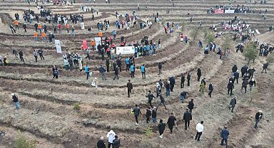 Çorum'da binlerce fidan toprakla buluşturuldu