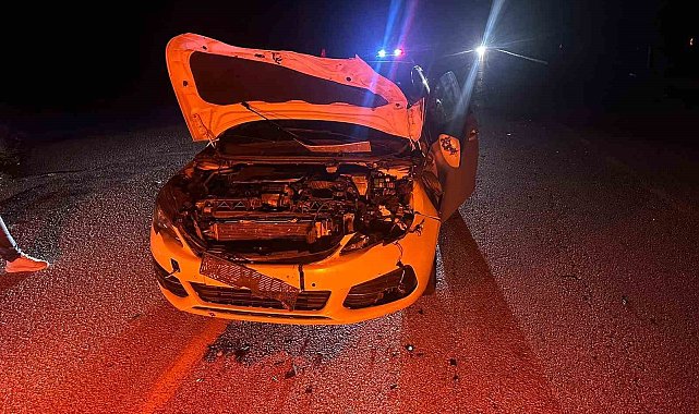 Çorum'da otomobil yola çıkan danaya çarptı: 2 yaralı